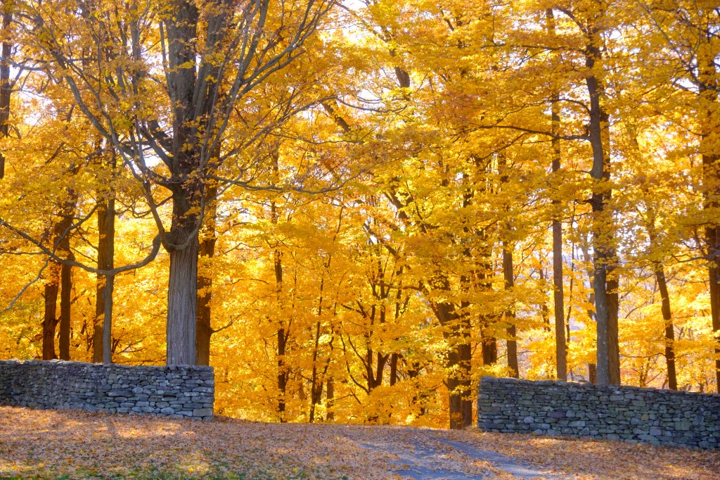 Brittany Crain and her daughter Iyla Moss dressed as angels running through the meadow area of ​​the Storm King Arts Center with fall foliage in the background